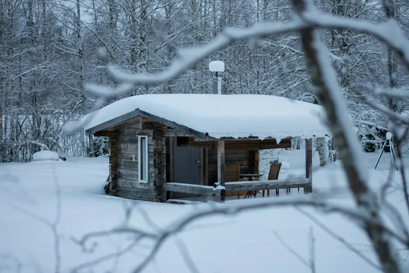 Timmerstuga i snöig skog sedd mellan grenar